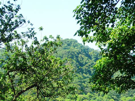 文筆山 相片|文筆山系步道